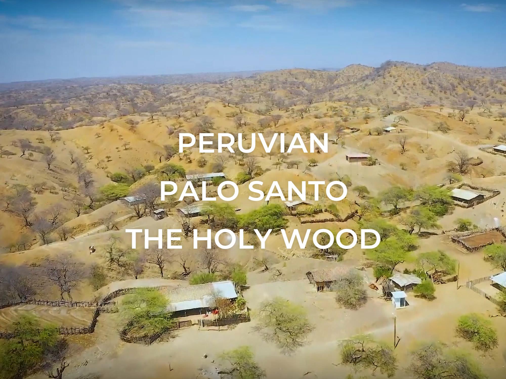 ◇ペルー産 パロサントフレーク◇聖なる樹 ホーリーツリー◇古代インカ