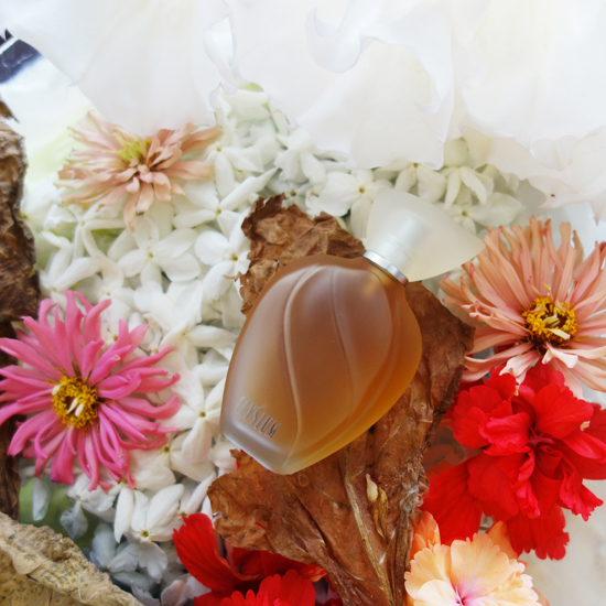 Elysium / エリジウム