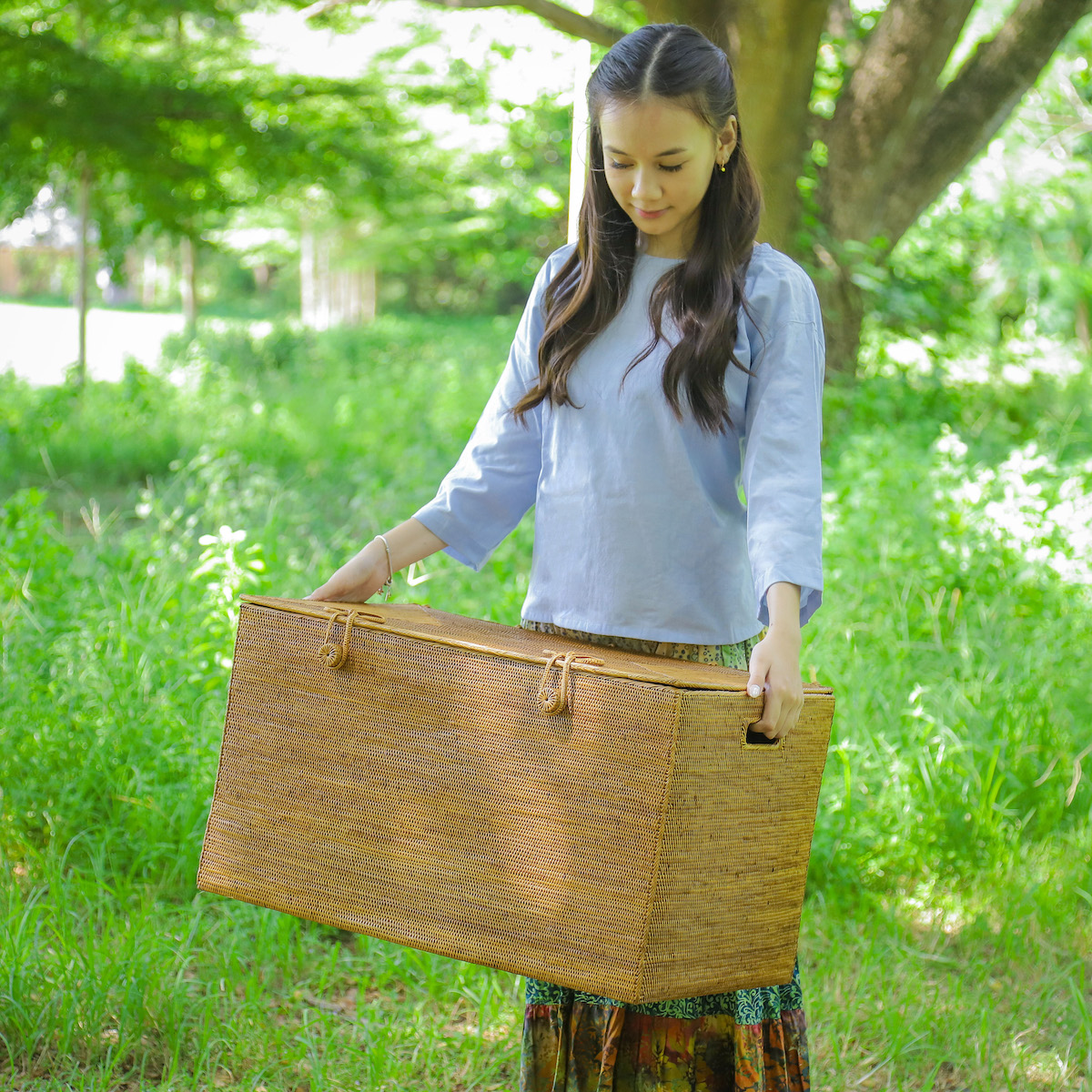 リビング収納中仕切蓋付きハーフサイズ (BOX399) Rosily(ロージリー