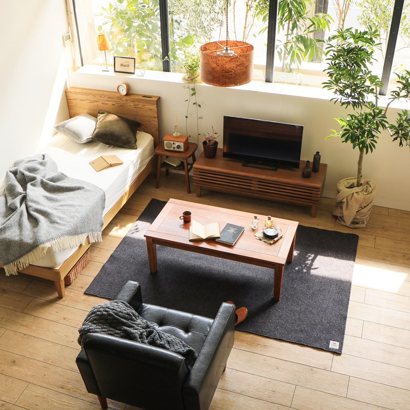 TVボード LINE 幅120cmタイプ ｜家具・インテリア通販 Re:CENO(リセノ)