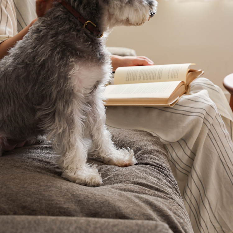 Re:CENO folkコーデュロイ 1人掛けソファ リセノ Re:CENO folk