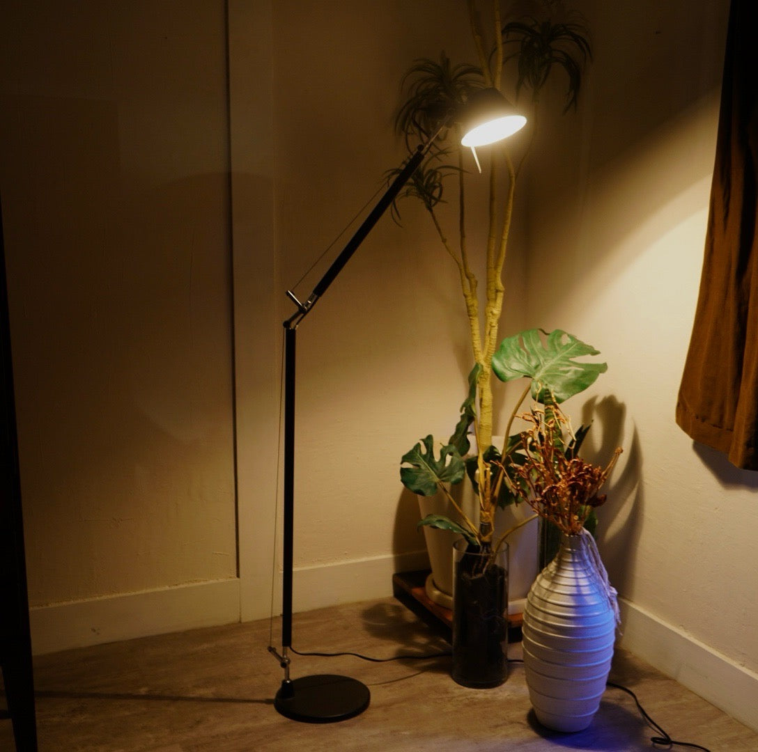 アルテミデ / Artemide トロメオ / TOLOMEO リーディング フロアライト