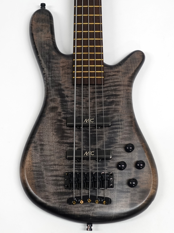 Warwick ワーウィック Customshop Basic Streamer LX 5st Transparent