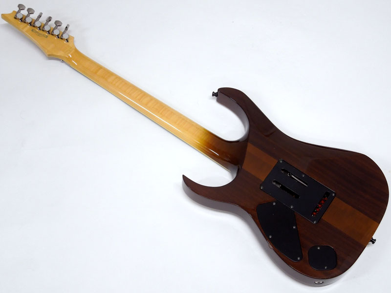 Ibanez RGT3170 ラッカー塗装　ステンレスフレット Ibanez RGT3170 ラッカー塗装 ステンレスフレット Ibanez RGT3170