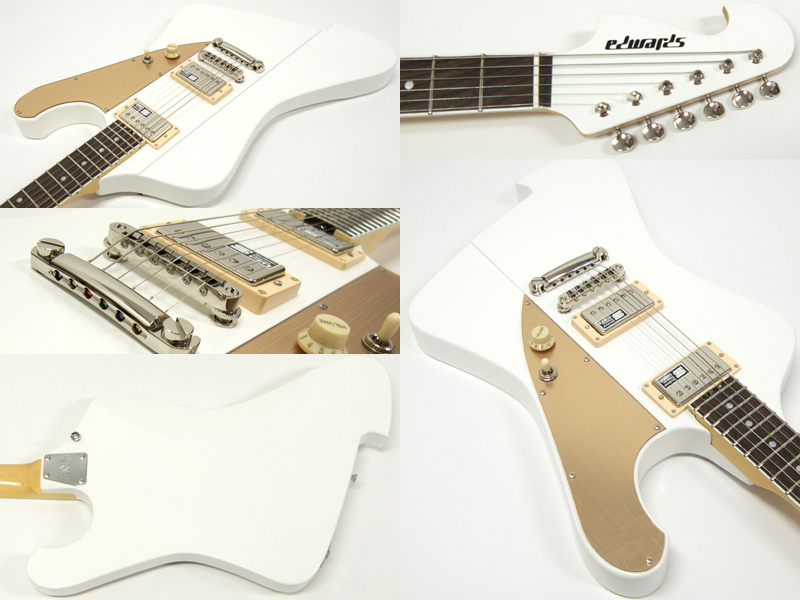 EDWARDS エドワーズ E-Cygnus【Leda モデル 】 送料無料! | ワタナベ