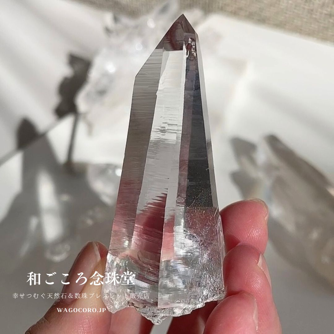 現地買い付け品【一点もの】最高品質 コロンビア産 レムリアンシード