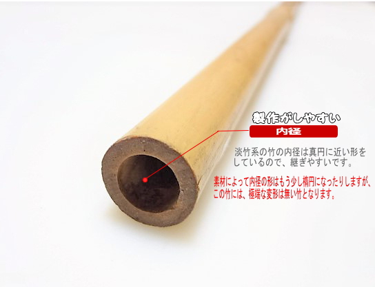 釣竿製作用”淡竹根っこ付き680-24.5-20.6mm【商品番号HA363】