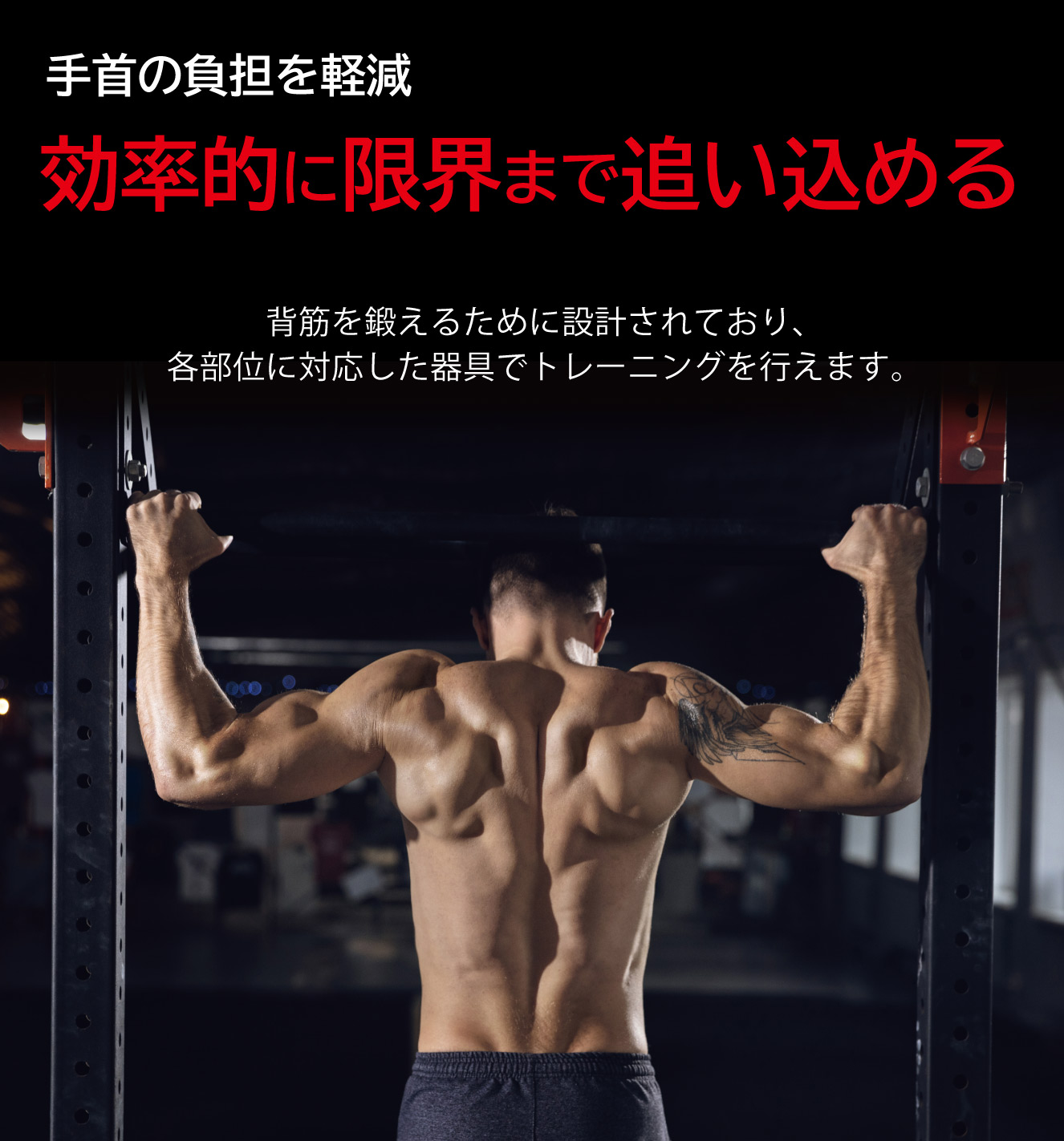 バックマッスルグリップ(5種) | ケーブルマシン、ローイングマシン