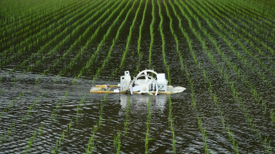 有機栽培水田除草機の実演会を開催しました - 津南町ホームページ