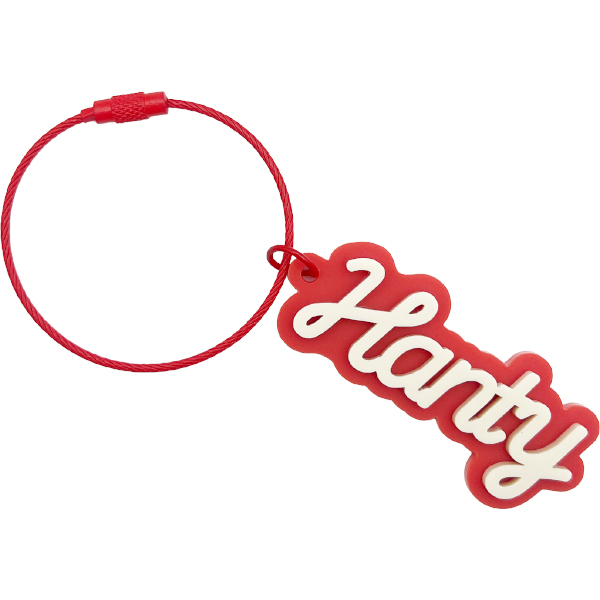 ポップネームキーリング【辛木田絆斗】【仮面ライダーガヴ】【仮面