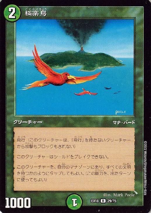 極楽鳥 4版 黒枠 FBB 中国語 繁体字 1枚 極楽鳥 4版 黒枠 FBB 中国語