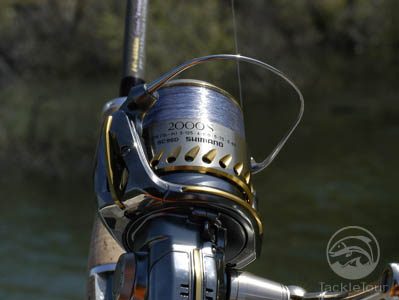 Shimano Japan Stella 2000s