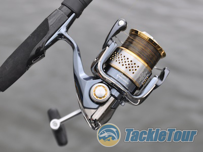 Shimano Stella 3000 FE Fishing Reel Review