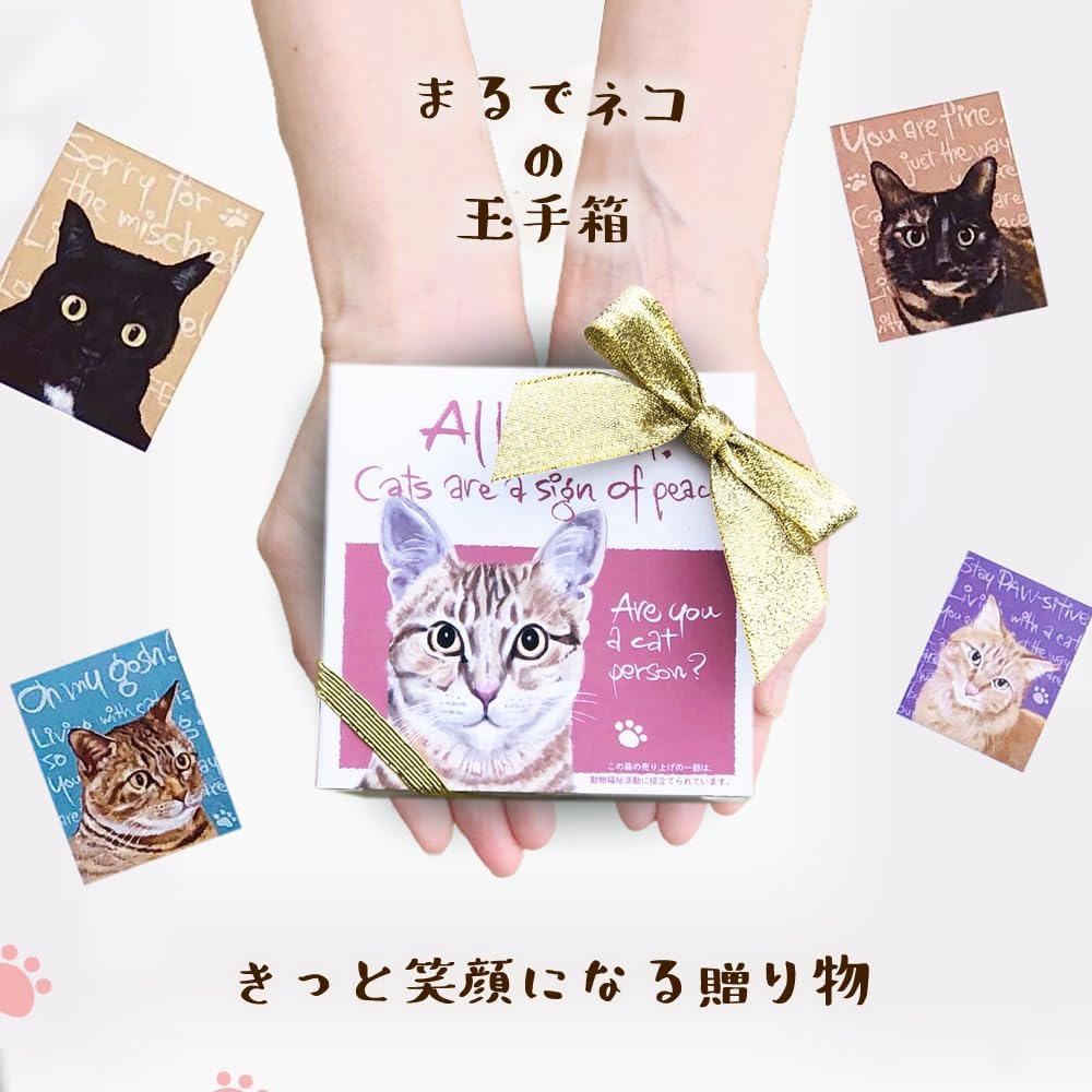 ネコ 好きさんに贈る お茶漬け 組み立てにゃんこBOX』【メール便対応1
