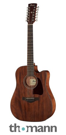 Ibanez AW5412CE-OPN Artwood – United States