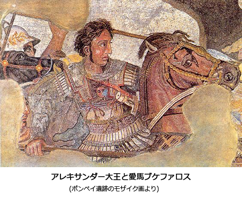 アレキサンダー大王 コイン コインペンダント専門店ワールドコイン