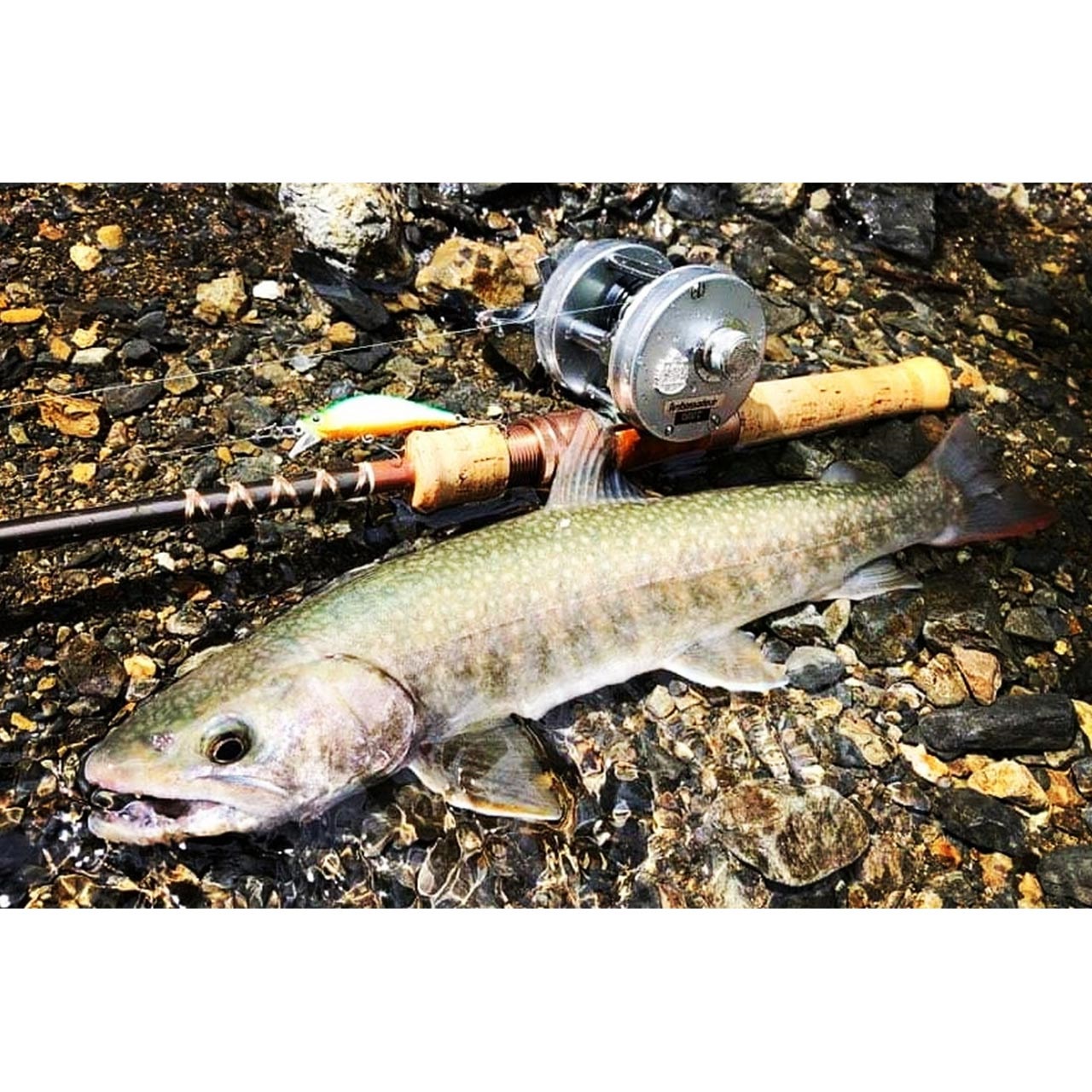 フェンウィック Fenwick FS53CL 3J Undercut Bank FS53CL-3J Undercut