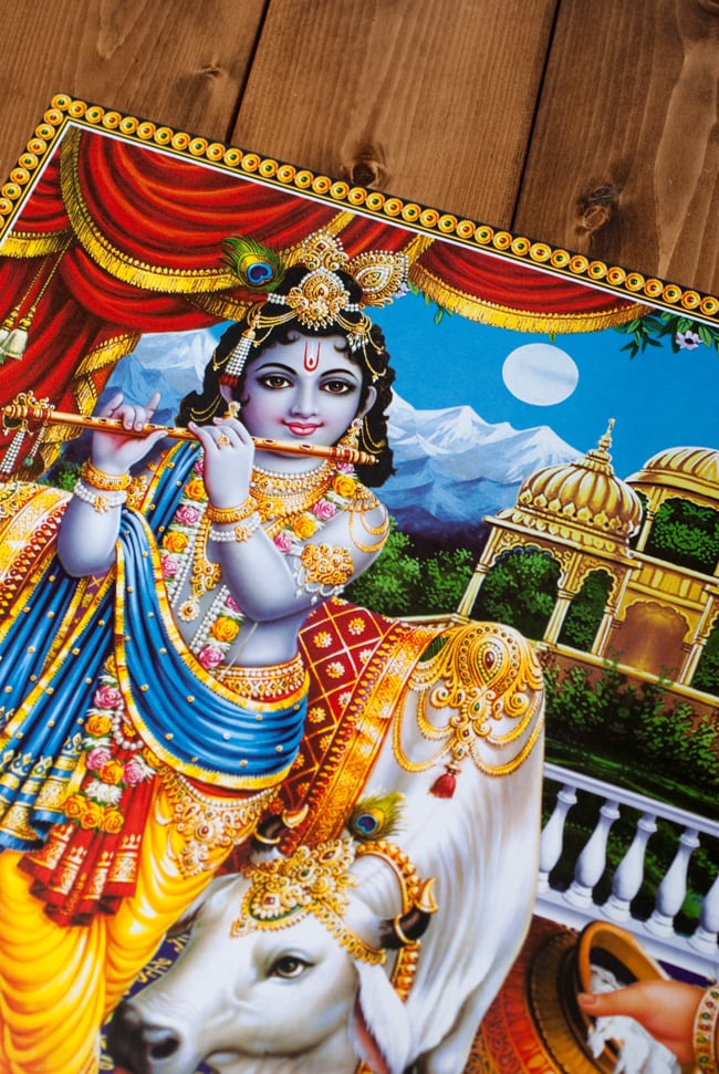 約70.5cm×約50.5cm〕大判インドのヒンドゥー神様ポスター - クリシュナ