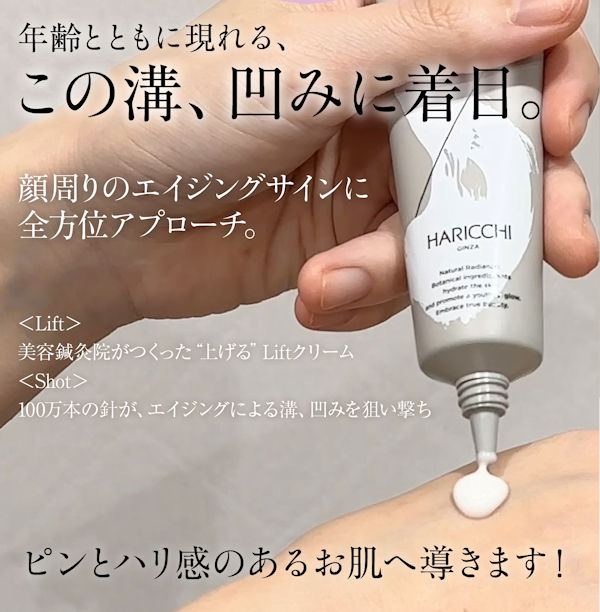 L Shot本品77％OFF＋もう1本プレゼント！筋トレ発想、ハリッチの針入り