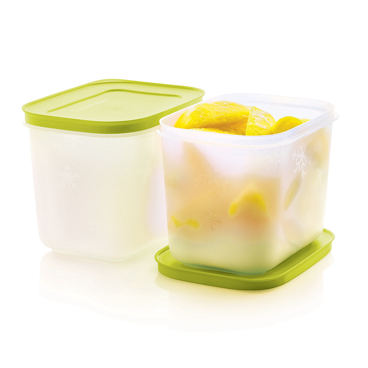 Freezer Mates® Plus | Starter Set – Tupperware Brand