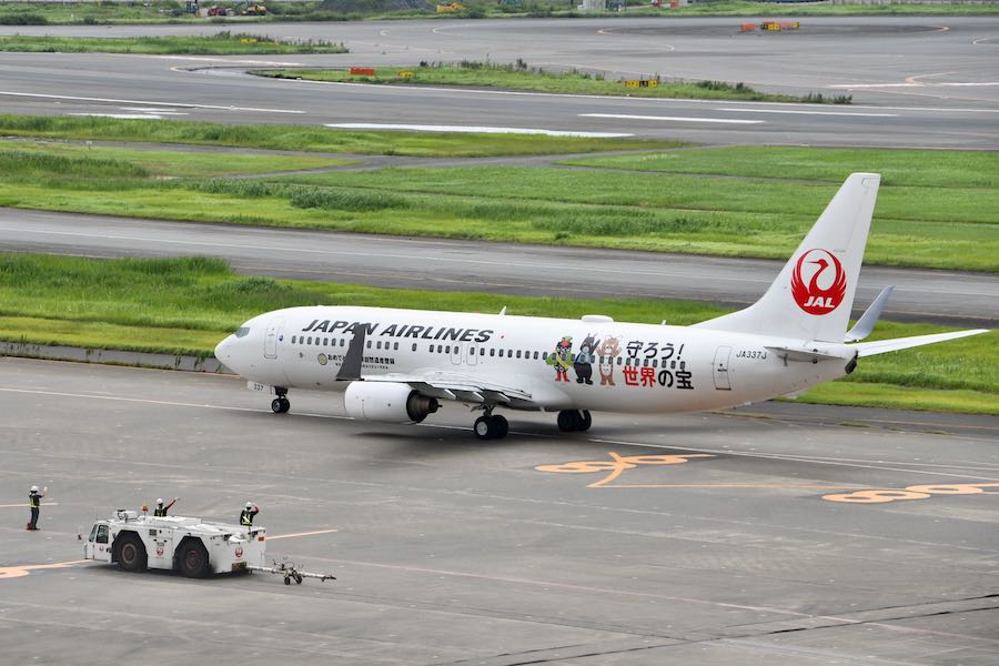 JAL、奄美・沖縄の世界遺産登録祝う特別塗装機就航 希少動物の