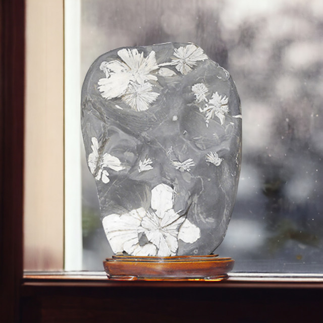 最高峰級に美しい菊模様の鑑賞石『菊花石』を紹介します！ │ 健康と