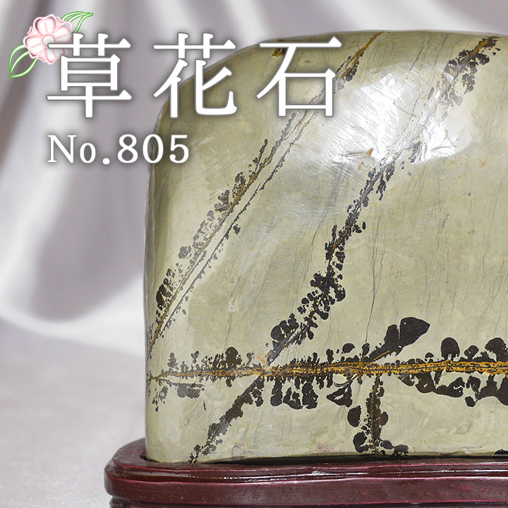 ピクチャーストーン】草花石No.805（観賞用鉱石）