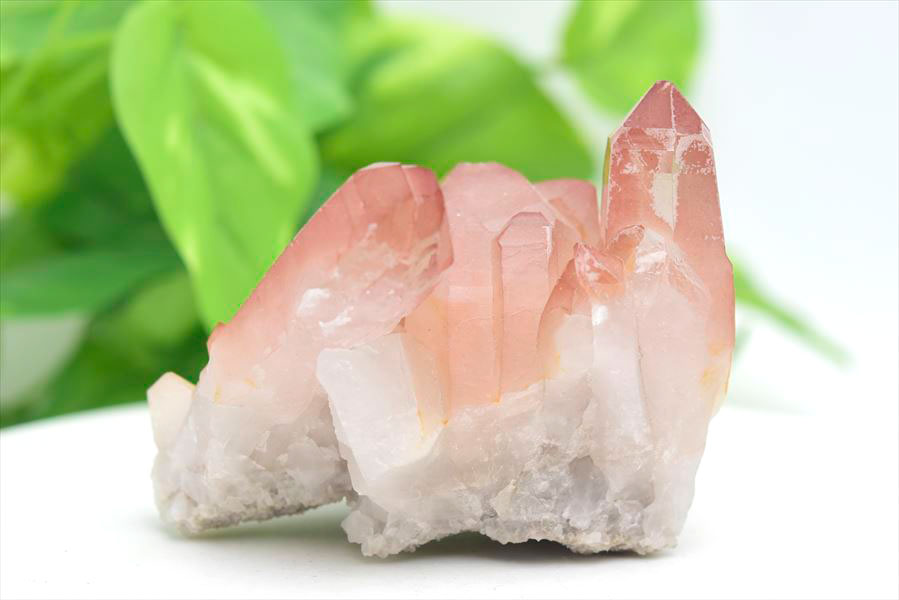 ピンクレムリアン クラスター 原石｜レムリアンシードクリスタル