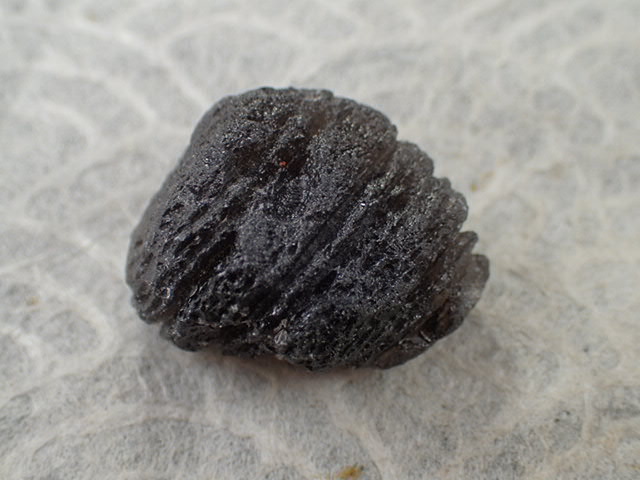 最高品質アグニマニタイト（Tektite系隕石) インドネシア 産 ｜石の