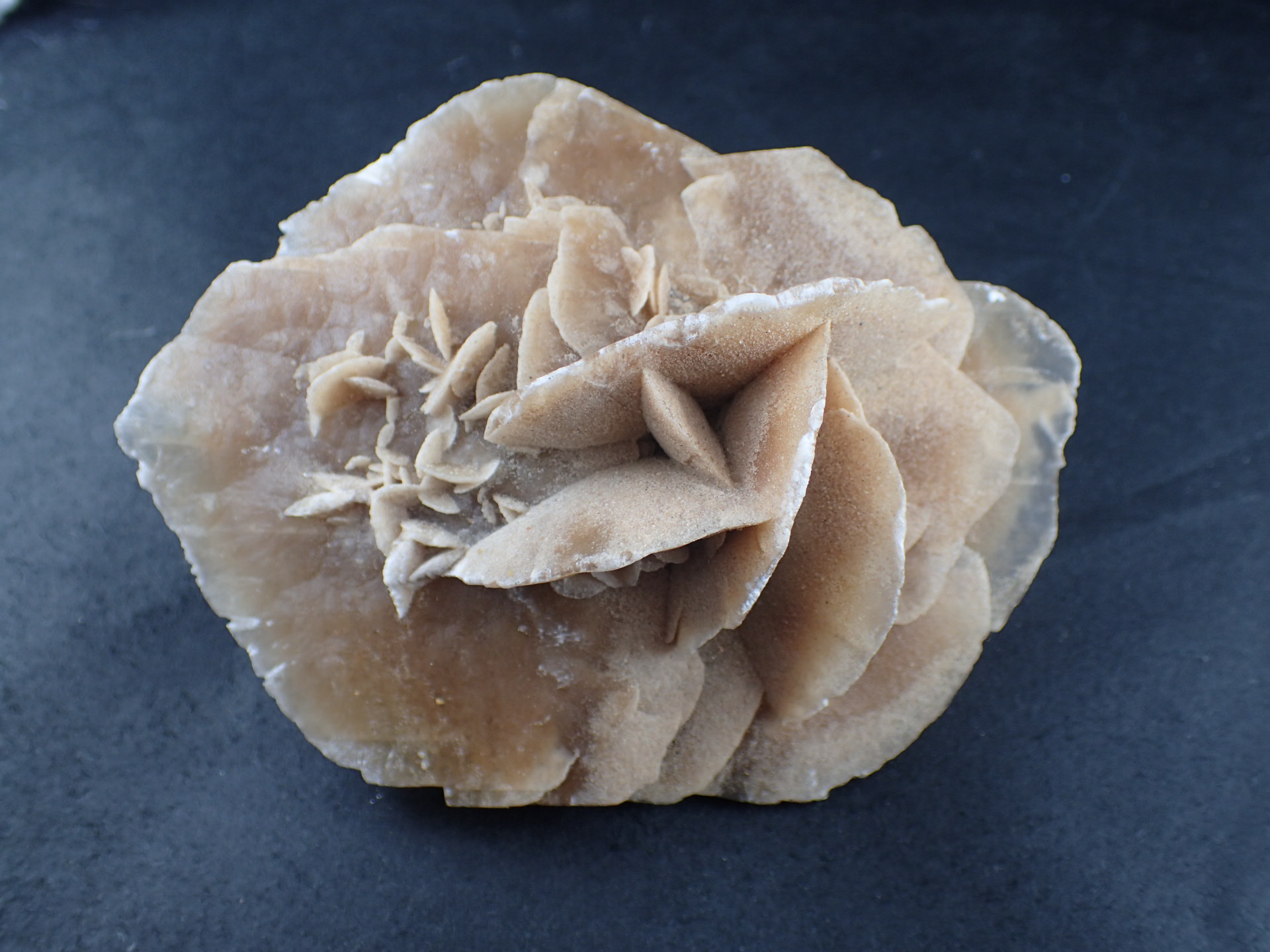 砂漠の薔薇（デザートローズ） ｜石の販売専門店【vec stone club】