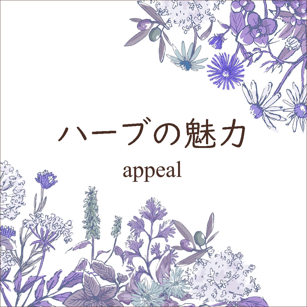 ハーバルアストロロジー講座(ハーブ占星術)｜ヴィーナース メディカル