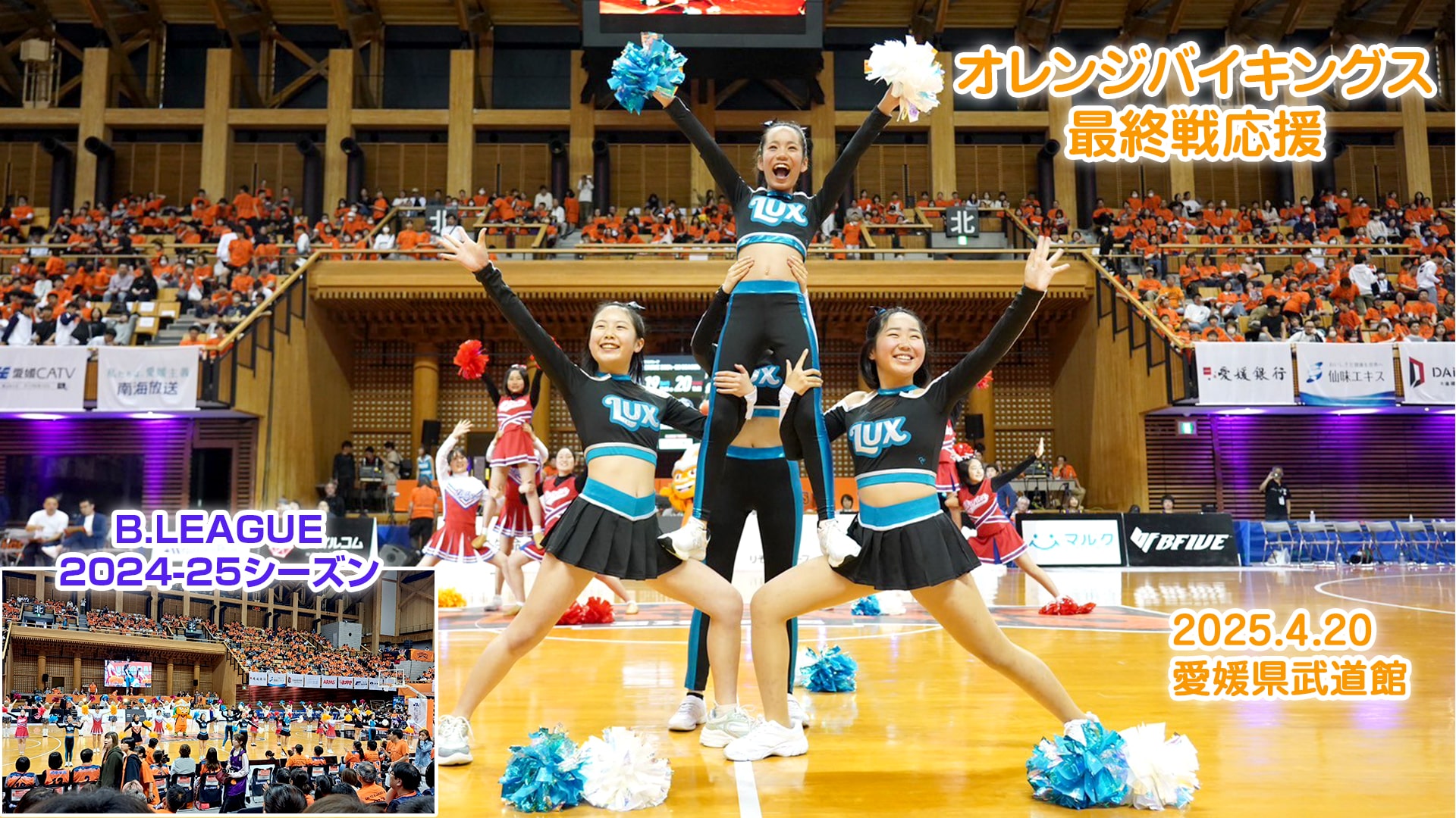 ホーム｜宇和島市 ダンススタジオ ステラ｜YFC Fitness Dance Studio