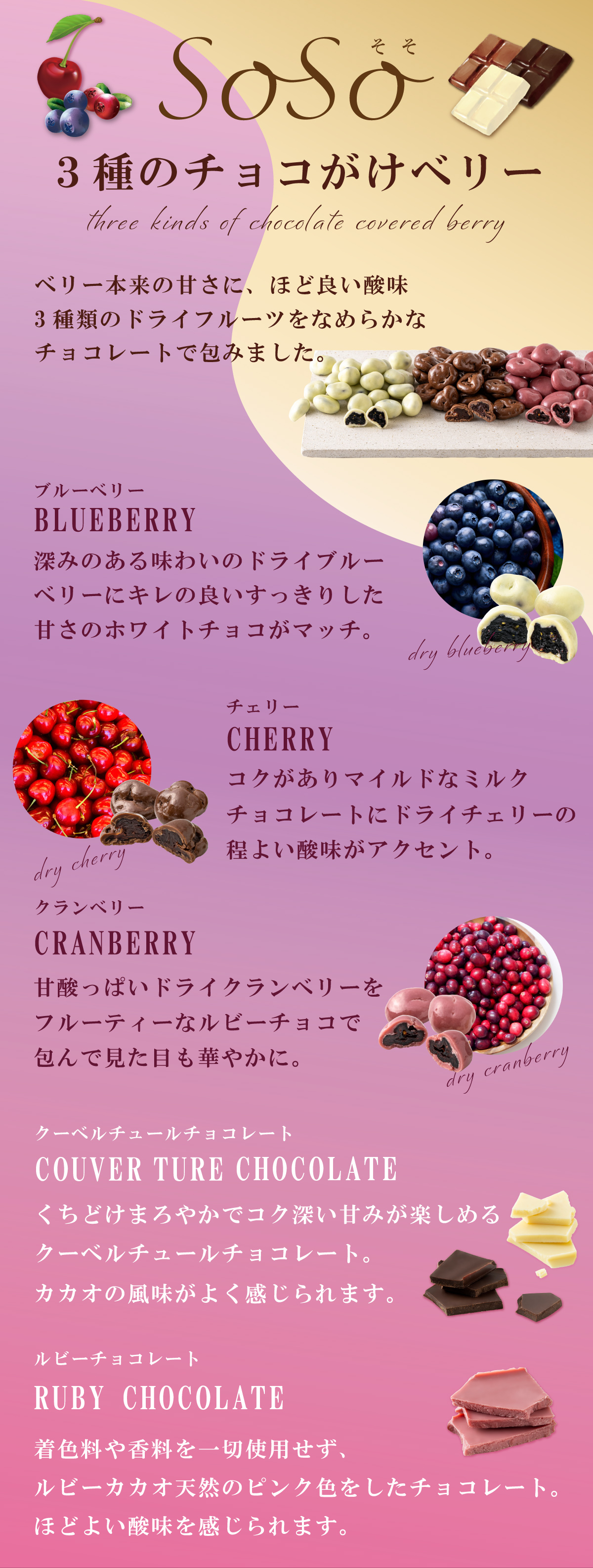 チョコがけナッツとドライフルーツ | 吉田ピーナツ食品 ぴぃきち堂