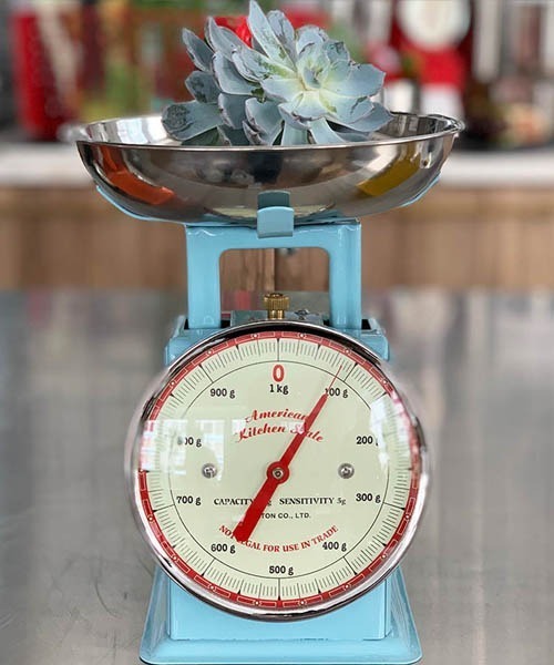 DULTON（ダルトン） キッチン AMERICAN KITCHEN SCALE/アメリカン