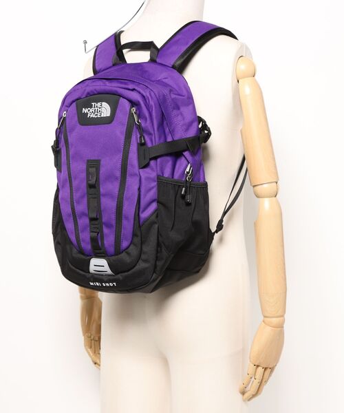 THE NORTH FACE（ザ ノースフェイス） デイバック リュック 「韓国限定