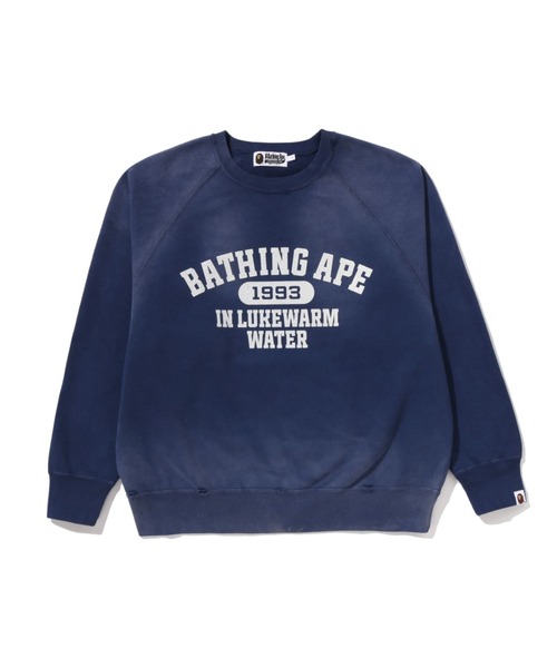 A BATHING APE（アベイシングエイプ） トレーナー スウェット DESTROY