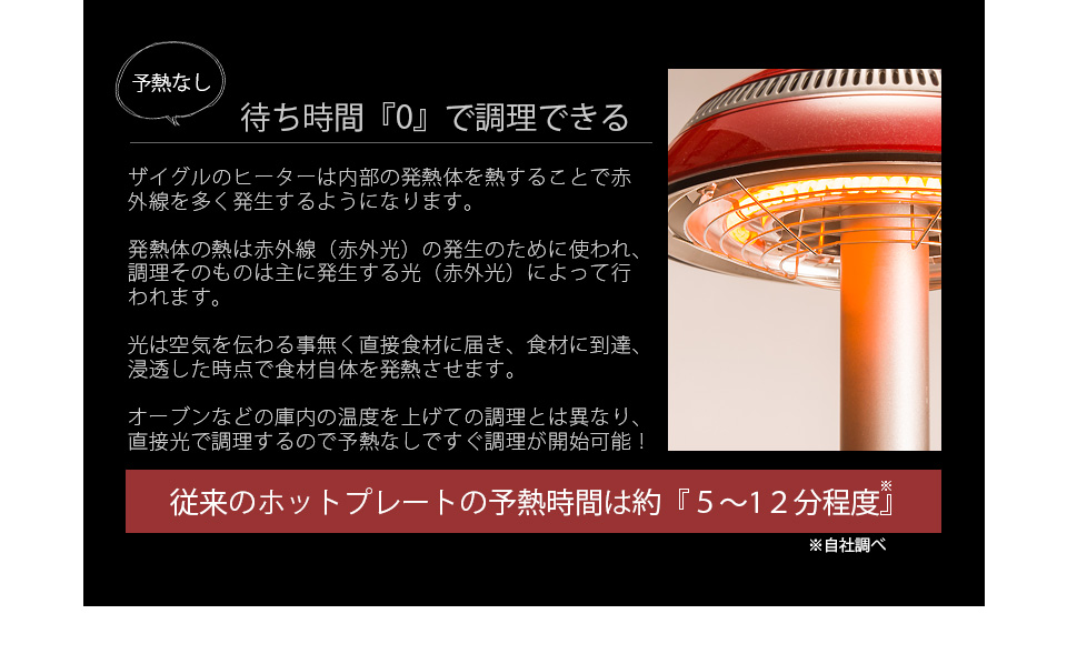 ザイグルプラス製品詳細 ザイグル公式サイト