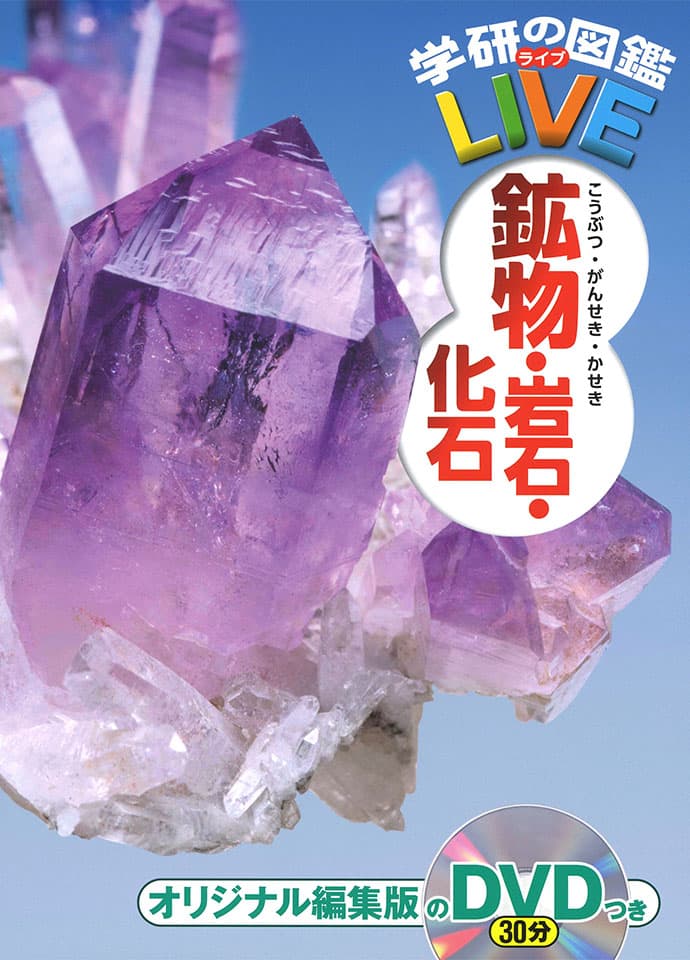 鉱物・岩石・化石｜学研の図鑑LIVE｜学研の図鑑（Gakken）