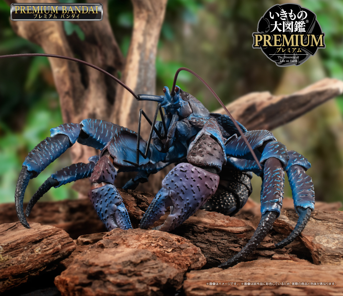 いきもの大図鑑プレミアム ヤシガニ｜いきもの大図鑑｜ガシャポン