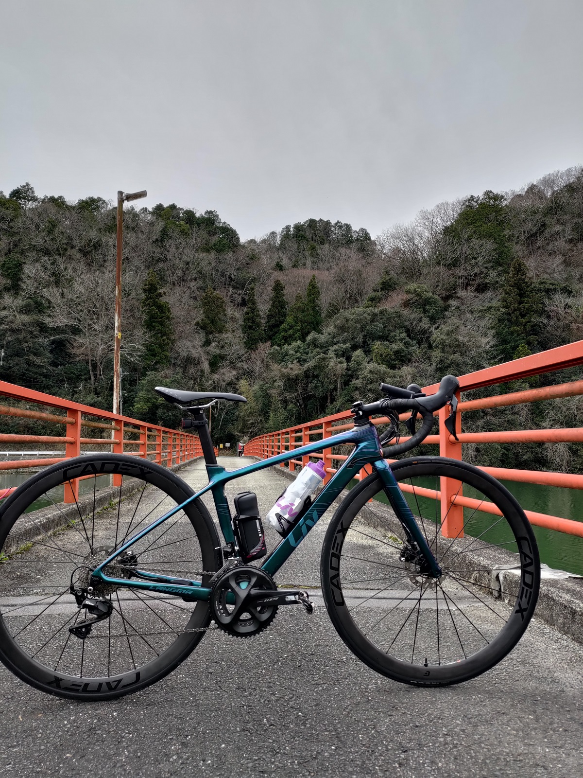 GIANT最高峰カーボンホイール「CADEX」！！！ ｜ ジャイアント