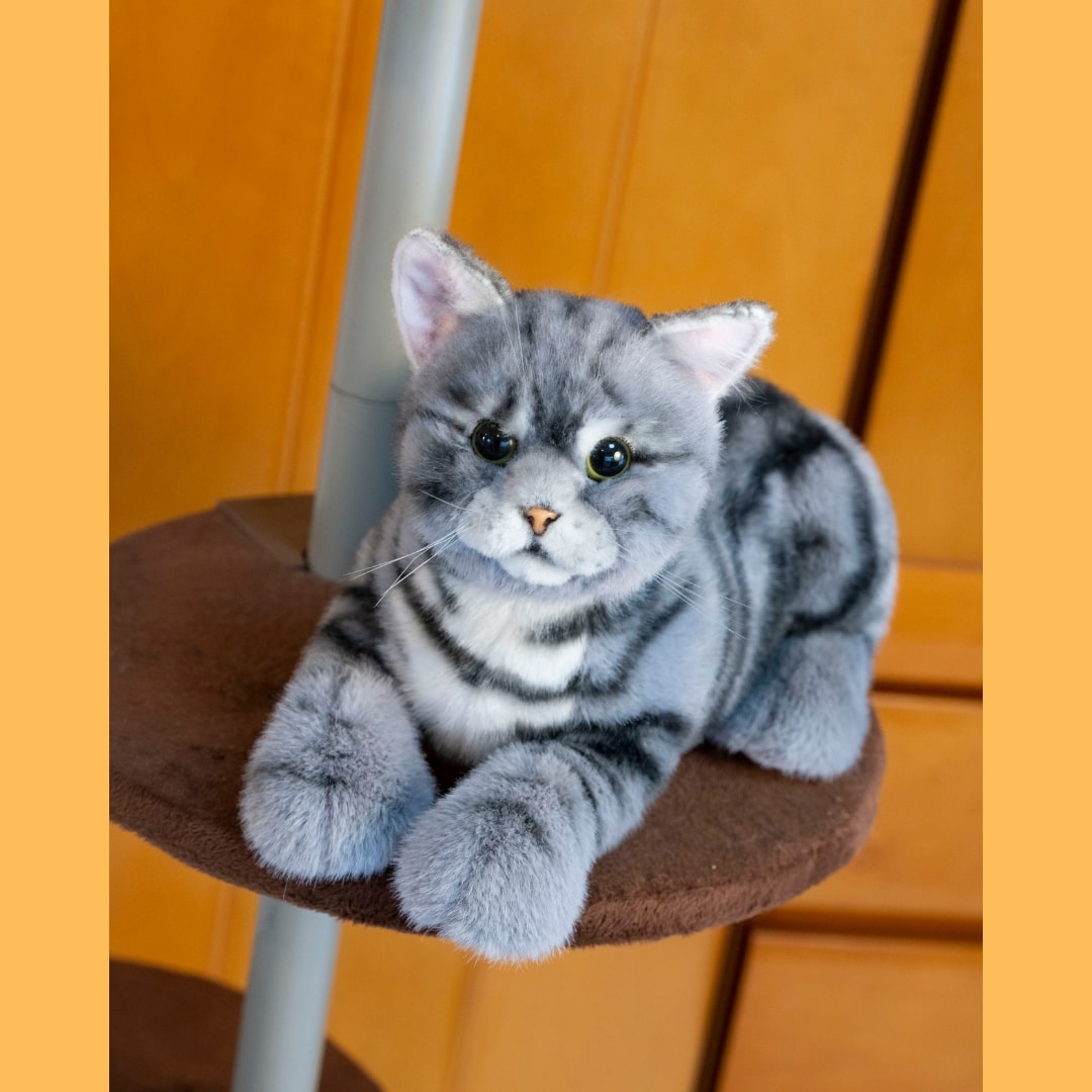 なでなでねこちゃんEXアメショー | Giftpad egift