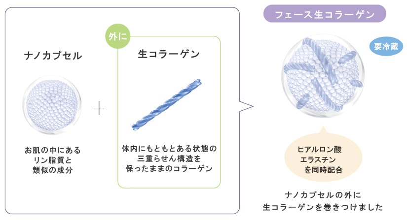 ラメラボ エッセンスセラム LAMELABO｜正規通販｜W ライフスタイルショップ