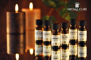 人気アロマオイル6本セット