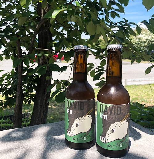 IPA 2種 飲み比べ 6本入り ペッカリービール 【PECCARY BEER】 信州