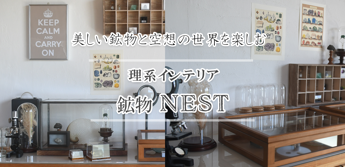 美しい鉱物と空想の世界を楽む 天然石や鉱石、化石を魅せるインテリア