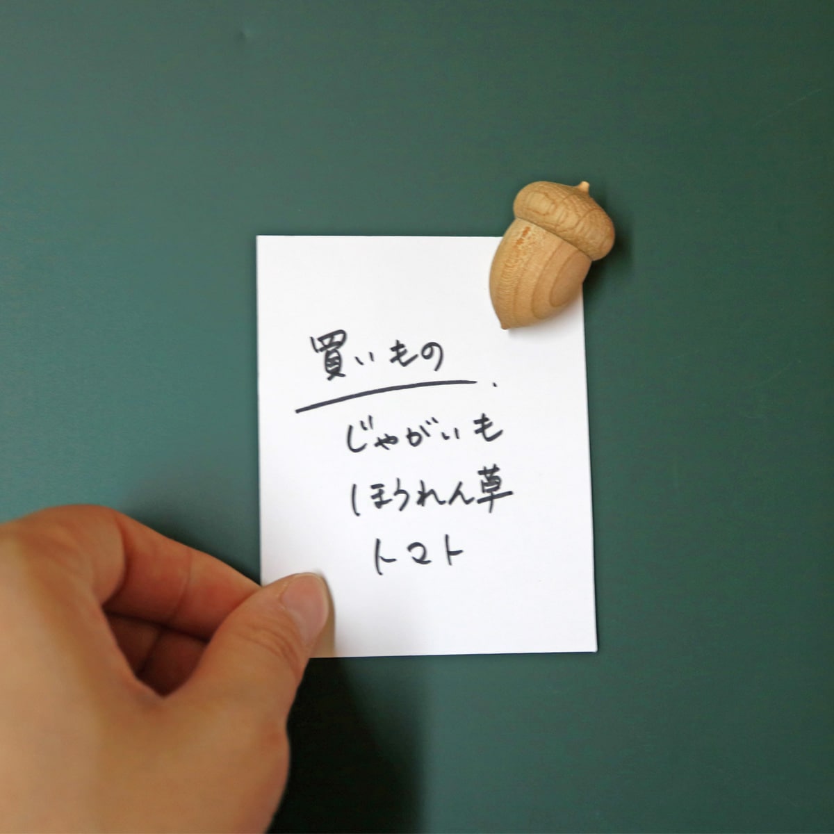 どんぐりマグネット｜オークヴィレッジオンラインショップ