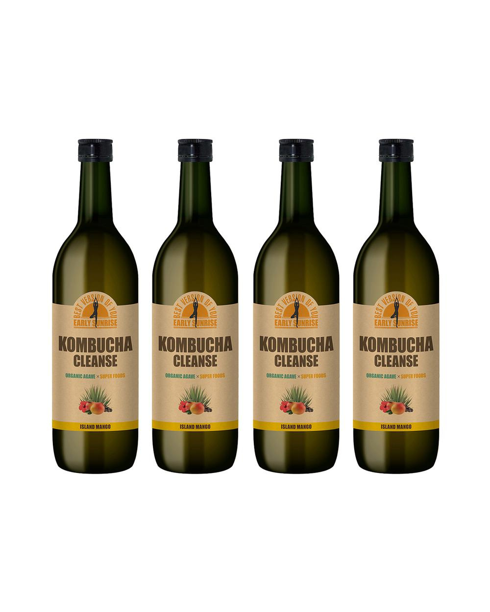 欧米セレブ発の健康ドリンク「コンブチャ」が日本オリジナルレシピに