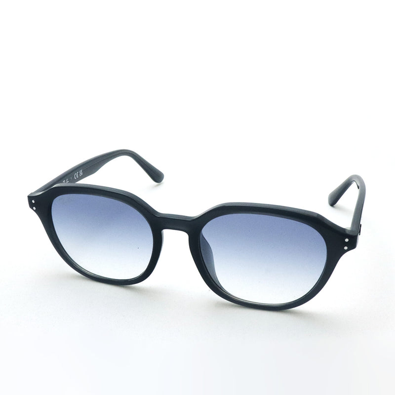 レイバン サングラス Ray-Ban RB4459D 623019 54 ラウンド