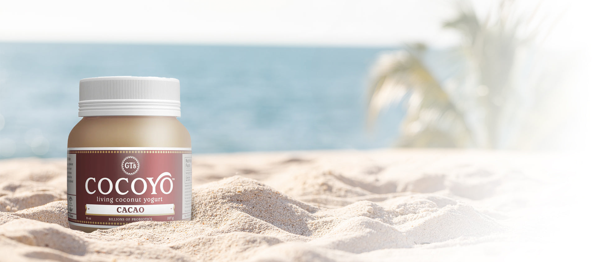 COCOYO_Cacao_SliderImage.jpg?v