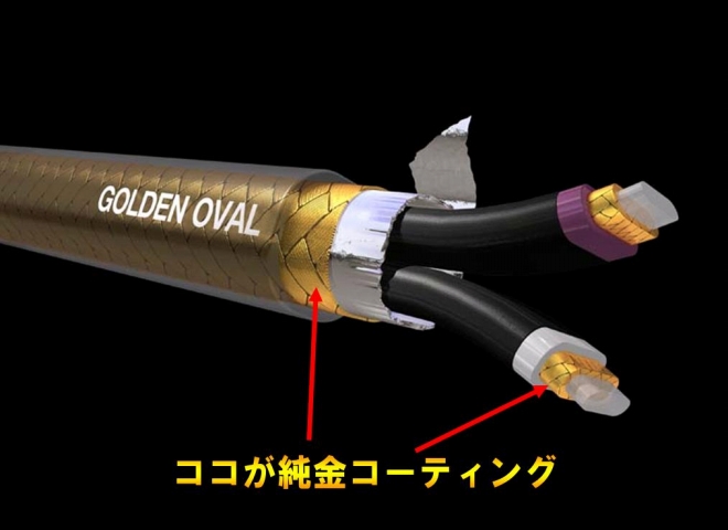 こだわりの逸品】1m○○万円のシールド?! ANALYSIS PLUS『Golden Oval
